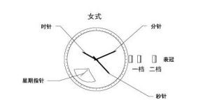 天美时腕表时间、日期怎么设置？(图1)