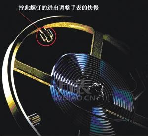 雷达手表不准是何原因？手表不准之游丝、快慢针常见故障(图4)