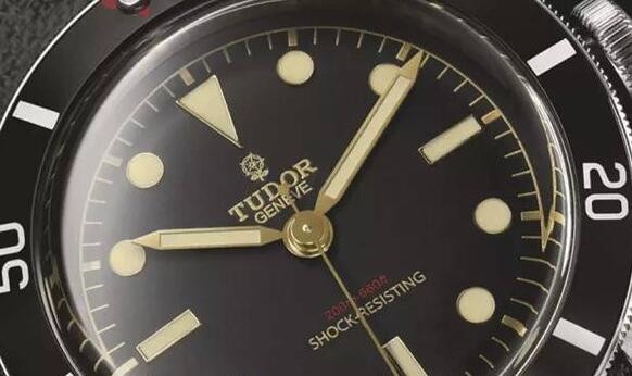 Only Watch拍卖会上，这枚帝舵表凭什么拍出天价?(图3)