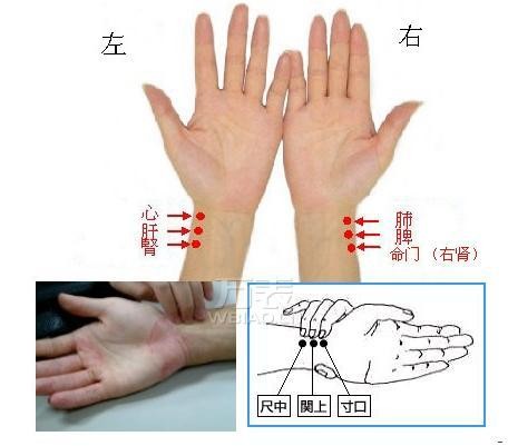 女生手表带哪只手？探究女生手表左手戴表的含义(图2)