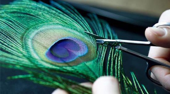 昆仑表Feather Watch羽毛腕表:最好的七夕节礼物(图2) 昆仑表Feather Watch羽毛腕表:最好的七夕节礼物(图2)