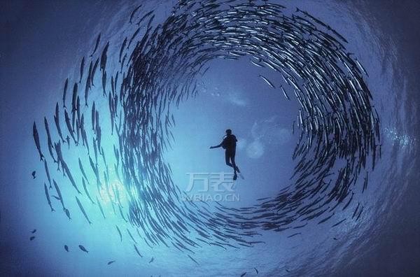 海洋摄影师戴什么手表？劳力士海使型4000带您征服深海(图1)