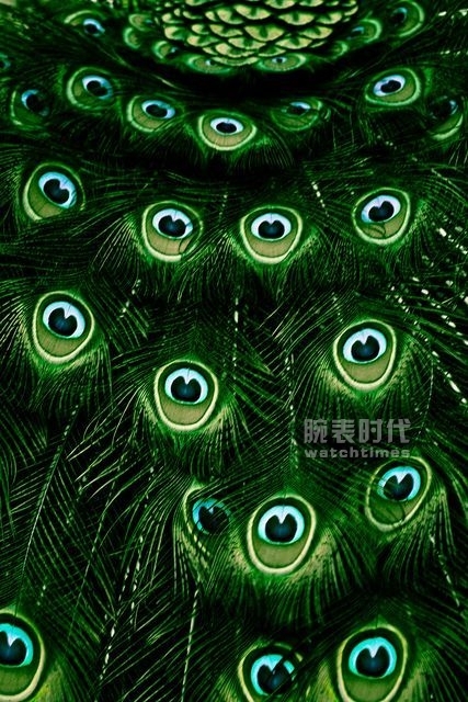 绿色腕表可不止骚气那么简单！(图9)
