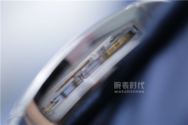 花了一百万！就只为看个机芯(图6)