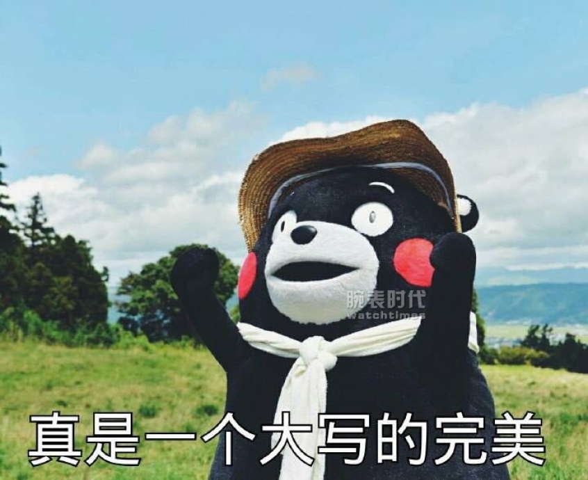 家家都能做的机械表，那还值钱吗？(图18)